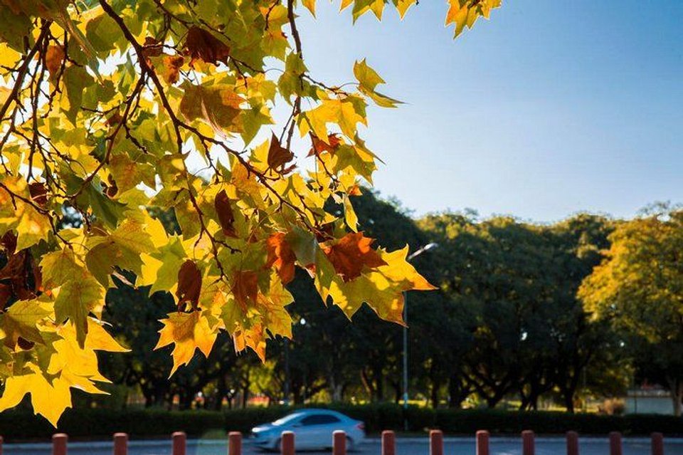 Porto Alegre no outono: por que maio é o melhor mês para visitar a cidade